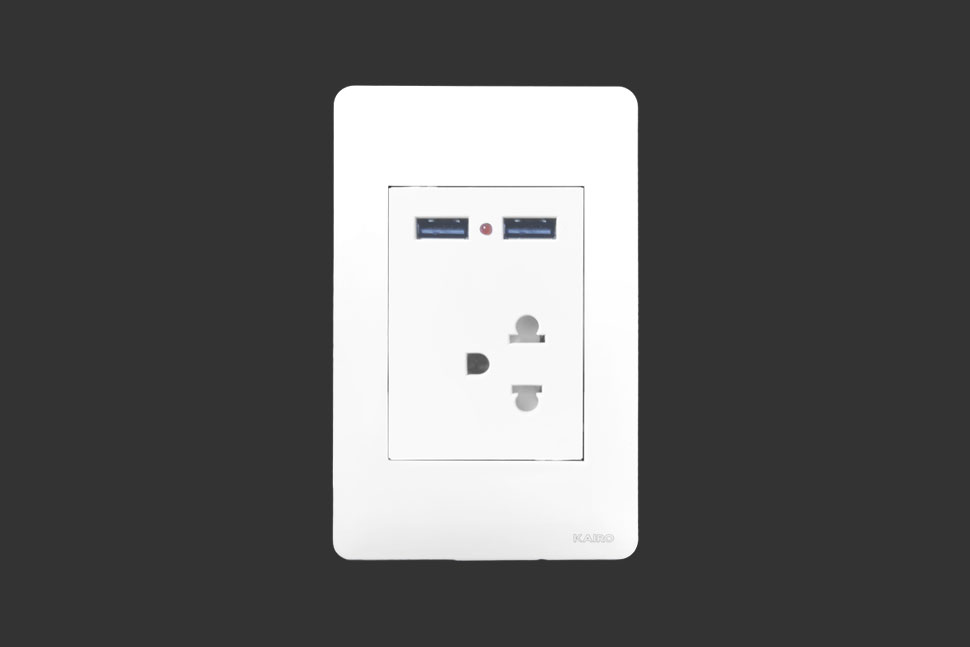 2 PIN SOCKET W/ GROUND + 2 USB